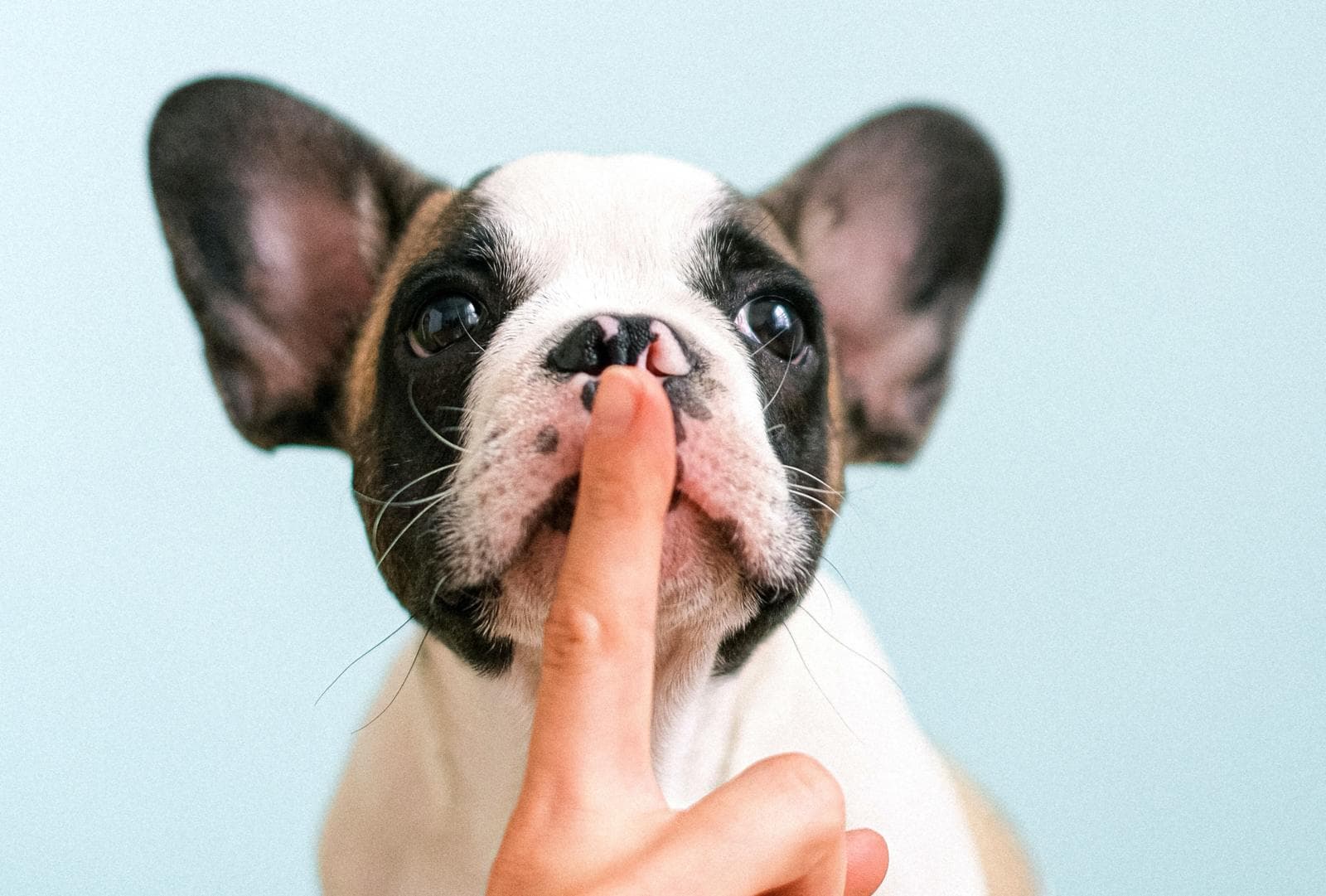 Difference Between Privacy And Confidentiality In New Zealand (2026 Updated)