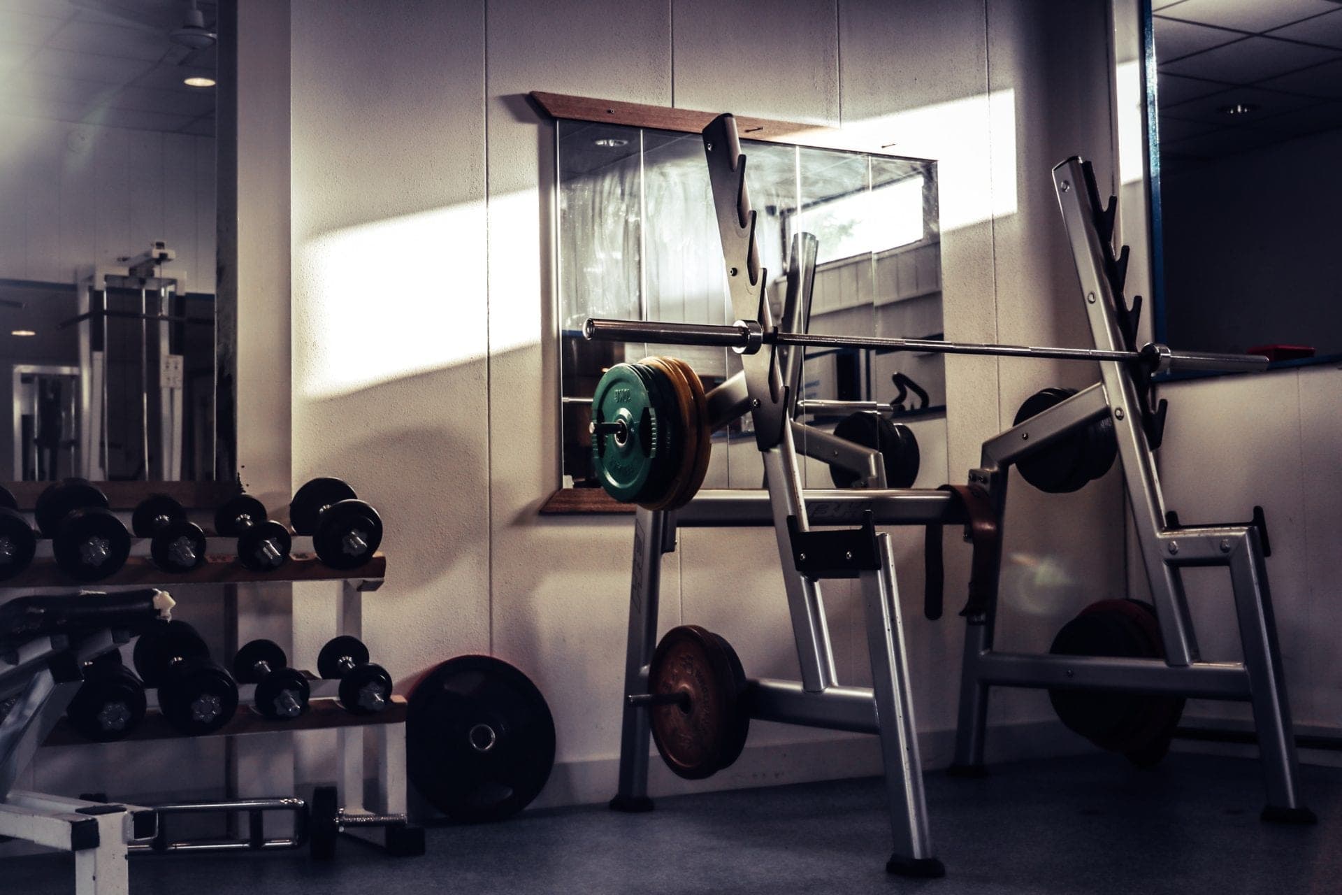 What Do I Need In My Gym’s Terms And Conditions? (2026 Updated)