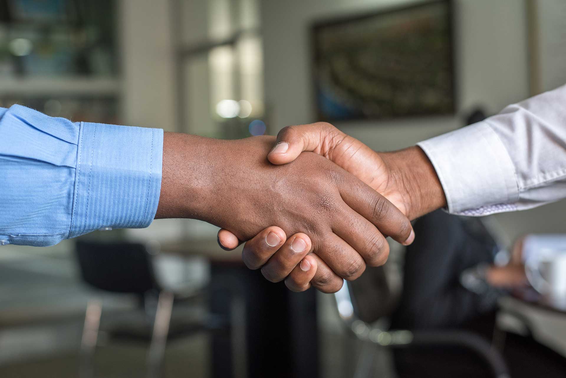 How a Corporate Constitution Shapes Your NZ Company