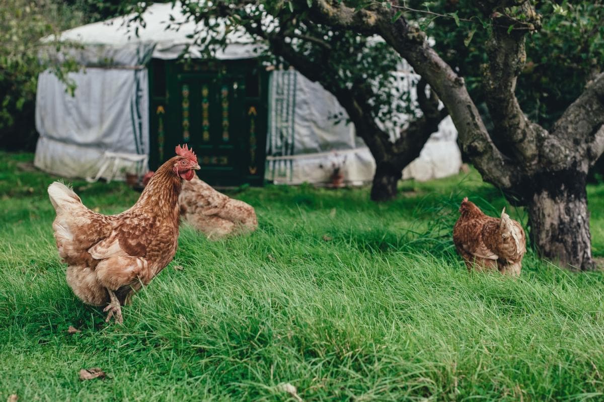 Thinking About Share Farming? This Is Why A Contract Is Important (2026 Updated)