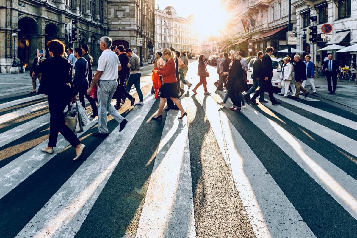 Suspending an Employee in New Zealand: Employer Process and Rules