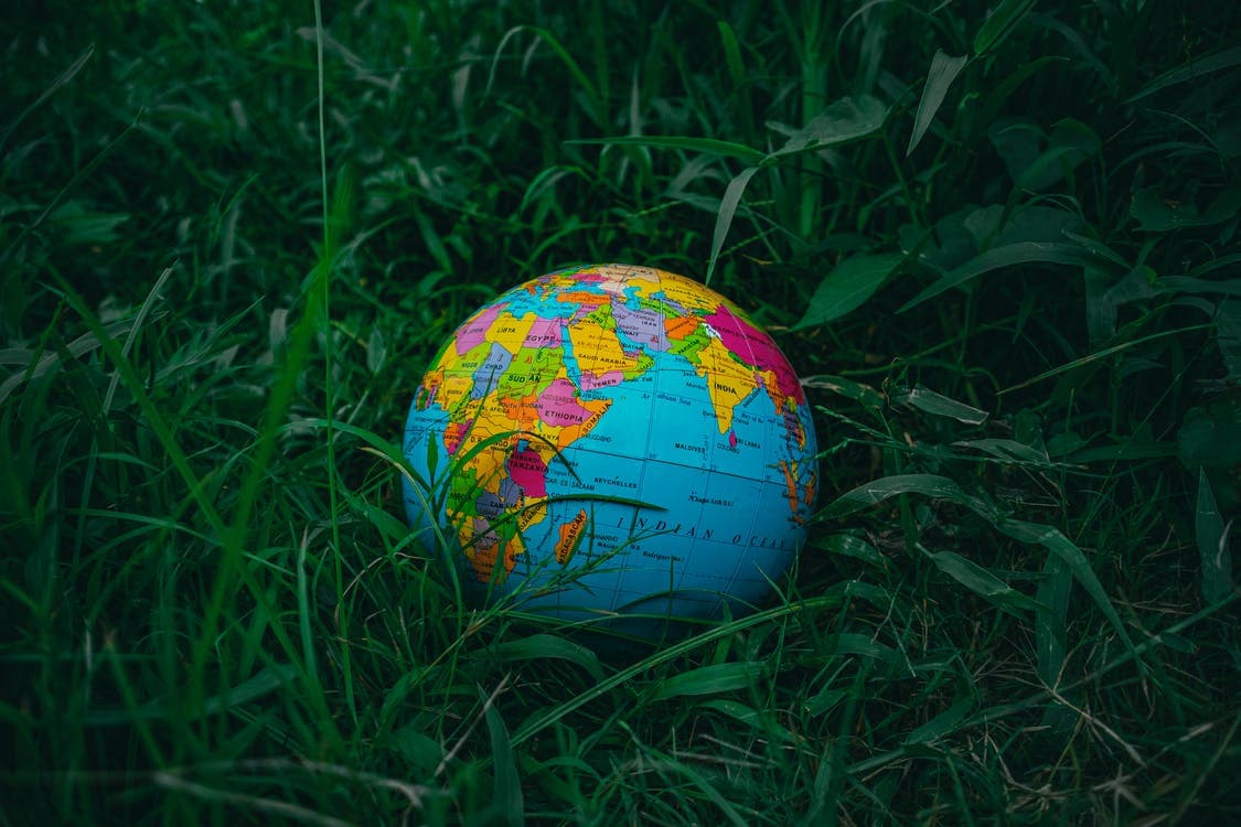 Are New Zealand Trade Marks And Copyright Valid Internationally? (2026 Updated)