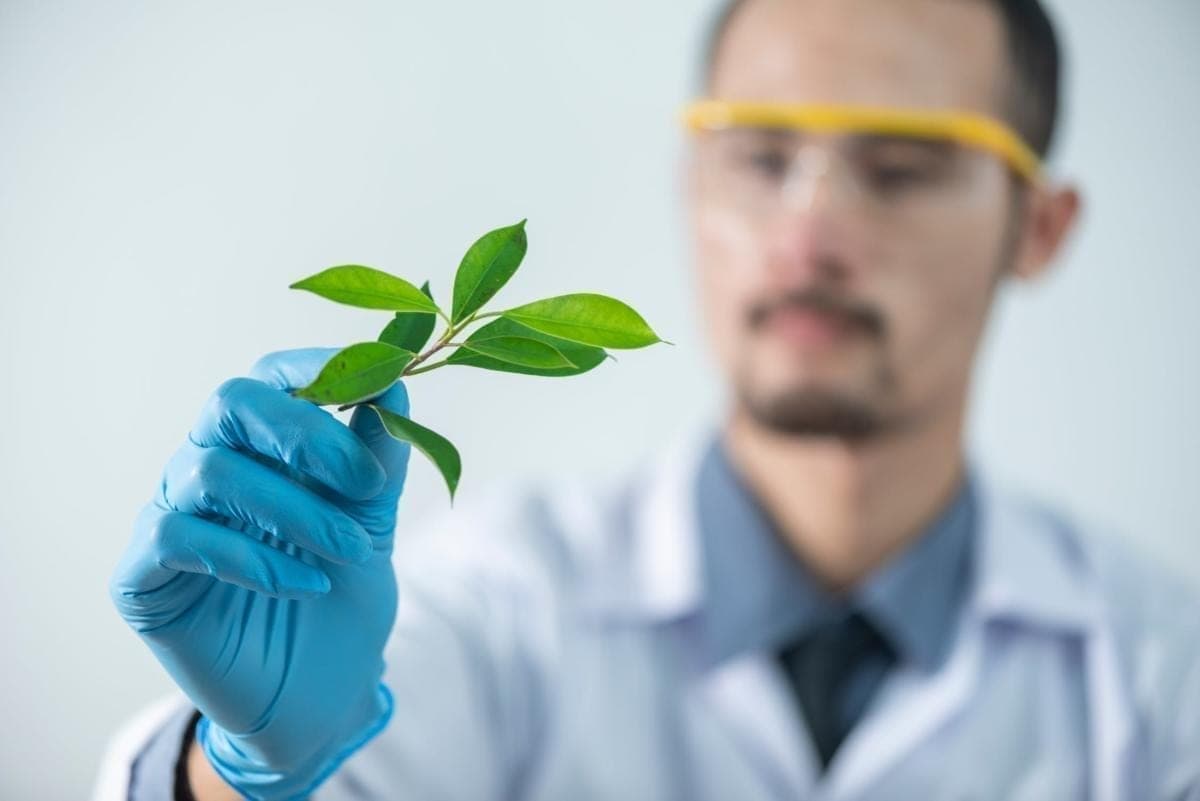 What Can Be Patented? (2026 Updated)