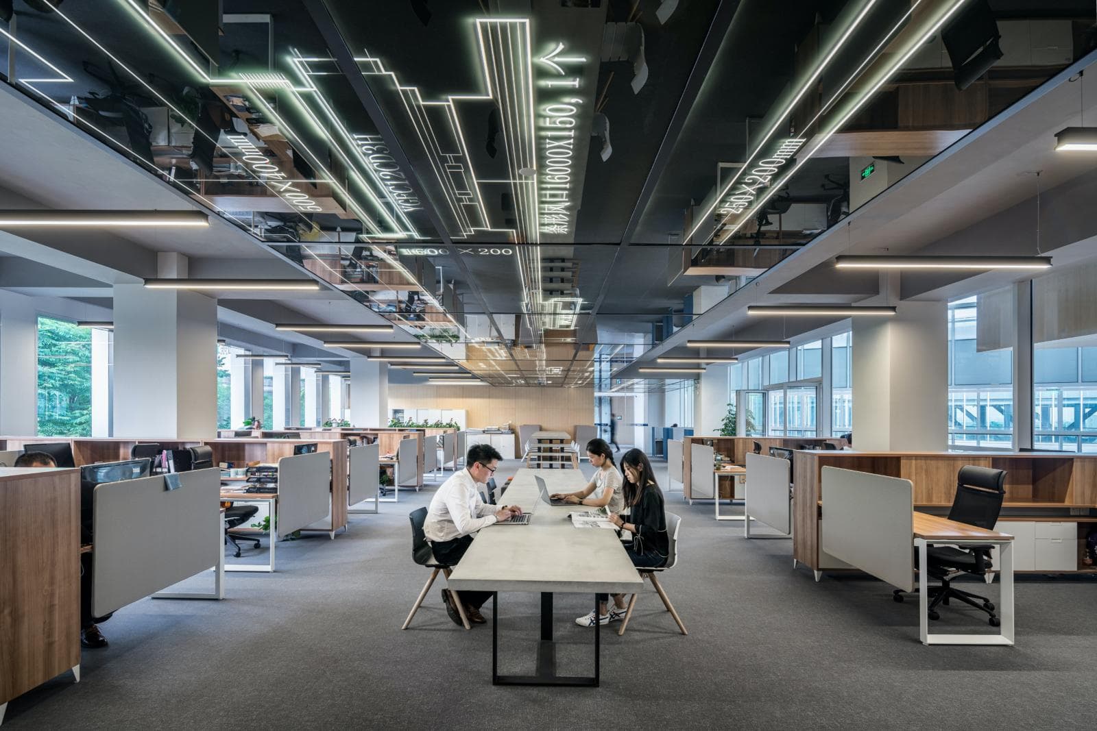 Company Constitutions in New Zealand: What They Do and When to Adopt One