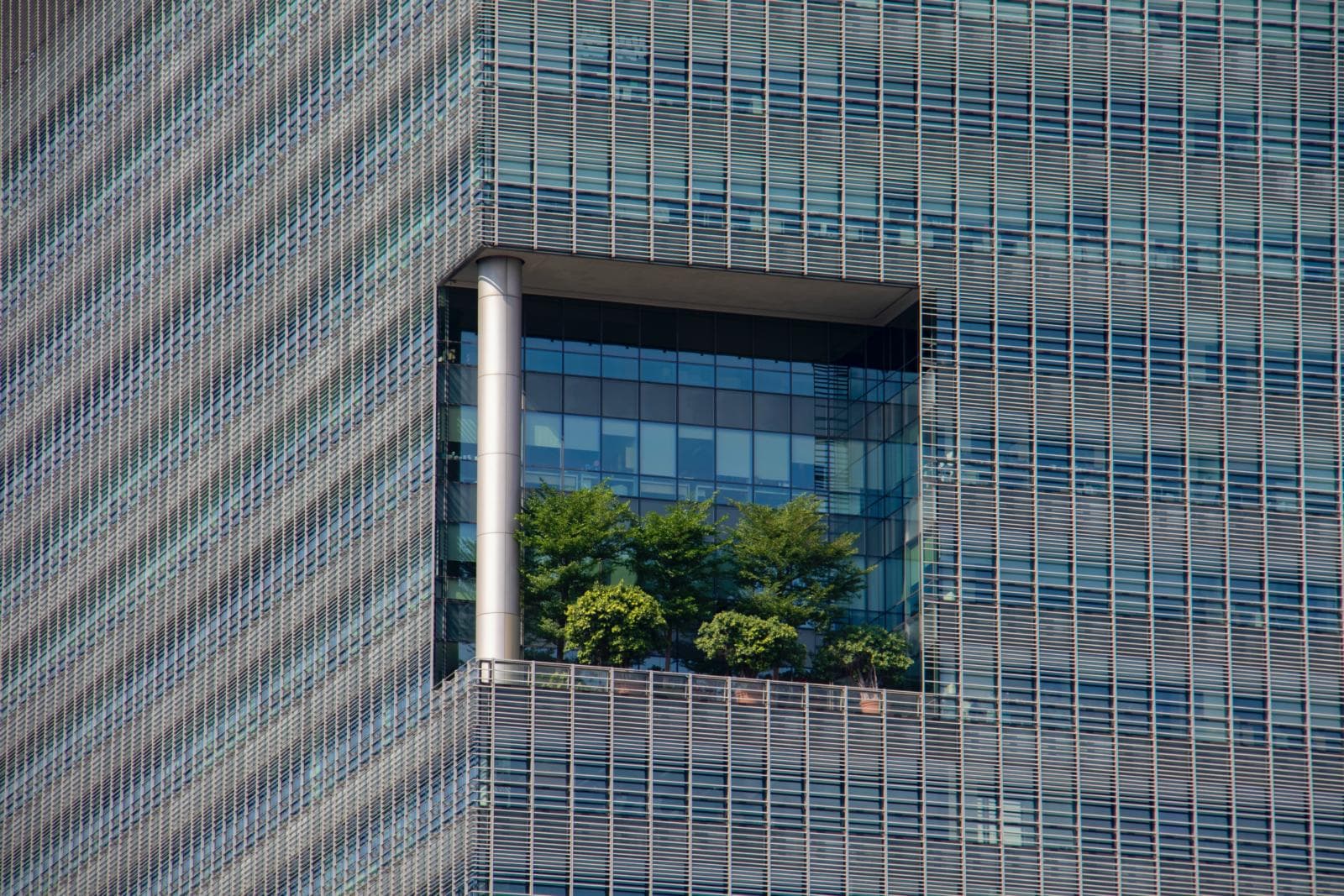 Return Policies In NZ: What To Include And How To Stay Compliant