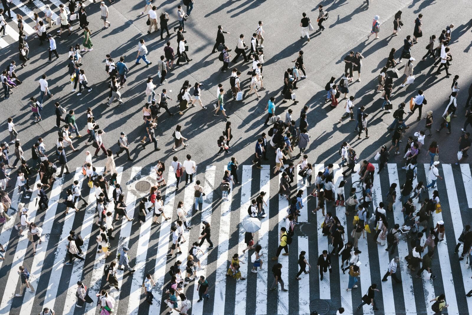 What Is Fraudulent Misrepresentation? (2026 Updated)