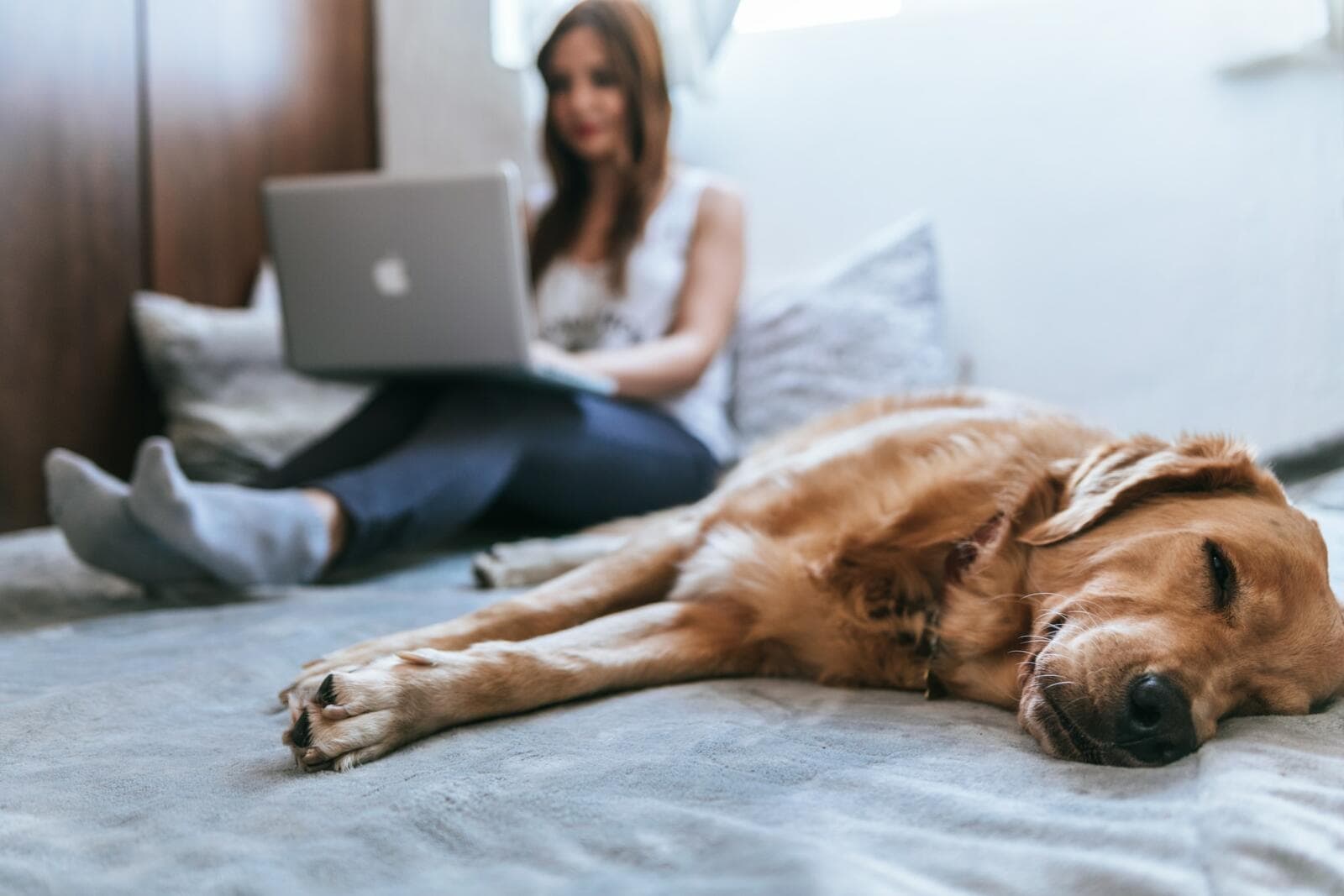 Legal Tips On Starting A Business From Home