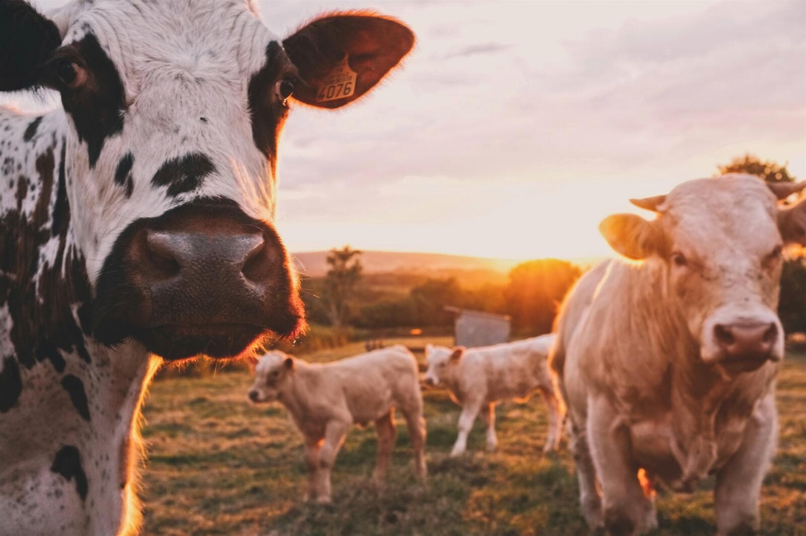 How To Start An Agricultural Consultant Business