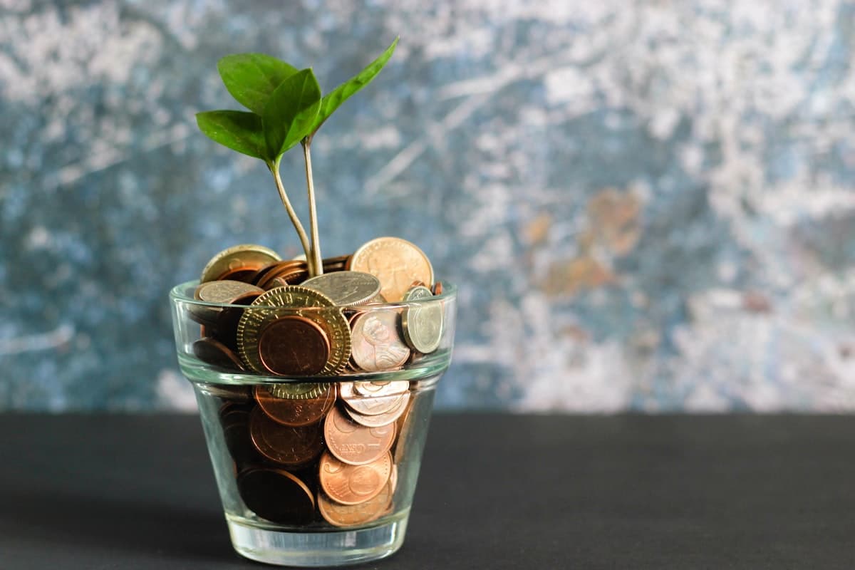 How To Start A Financial Consulting Business