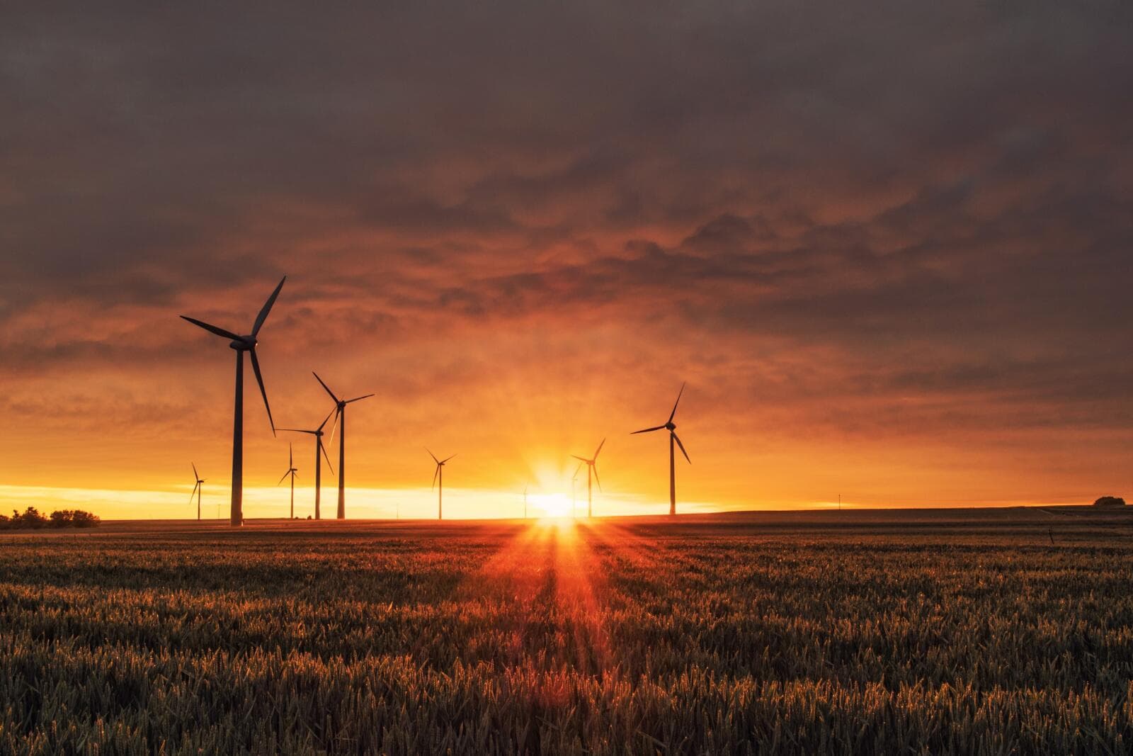 How To Start An Environmental Consulting Business