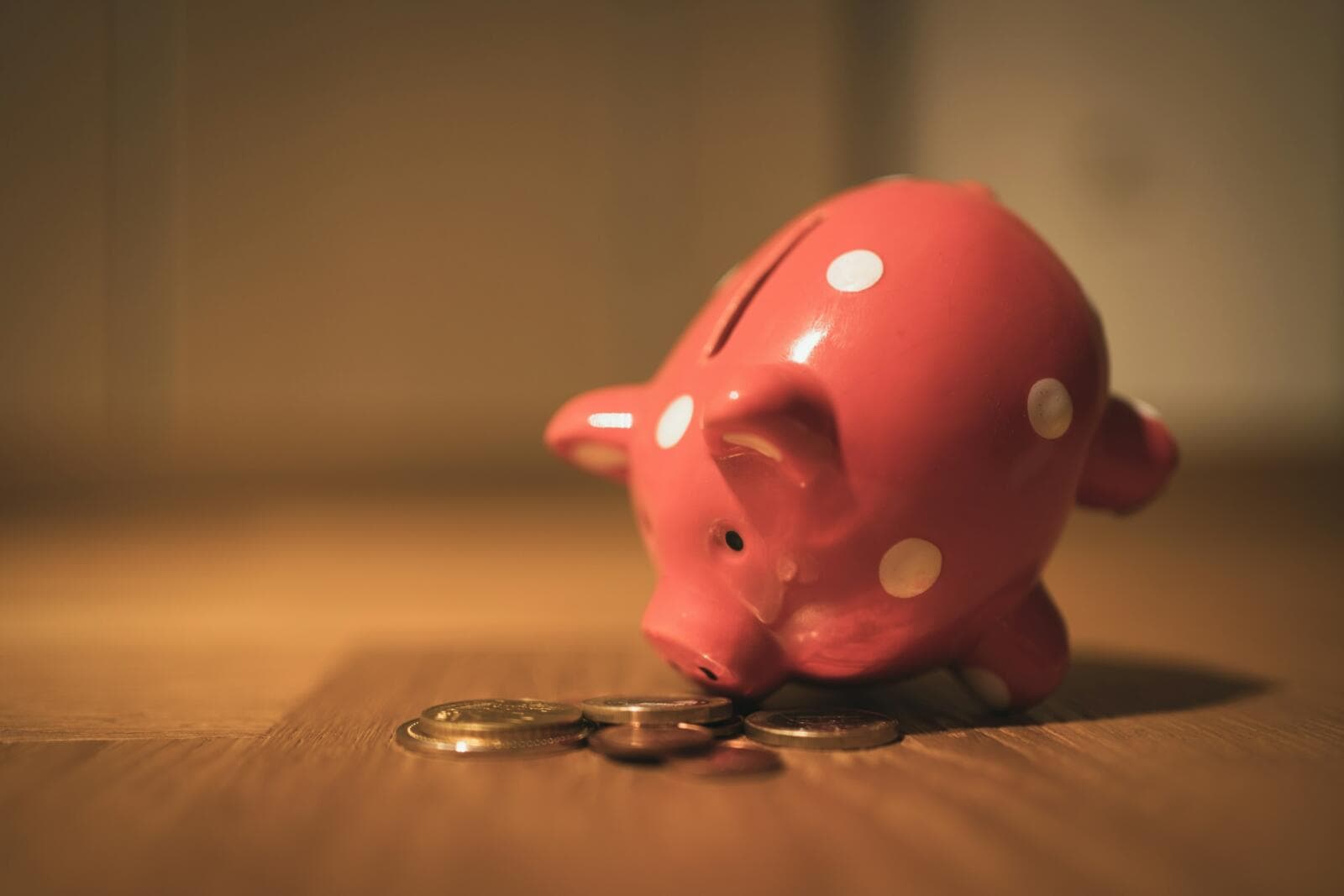 How Much Money Do You Need To Start A Small Business In New Zealand?