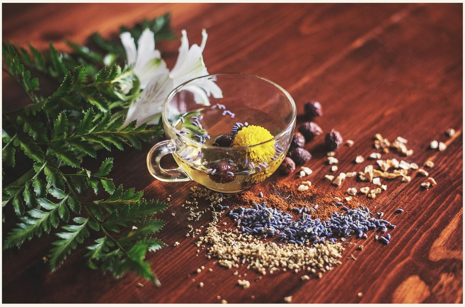 How To Start A Herbal Tea Business