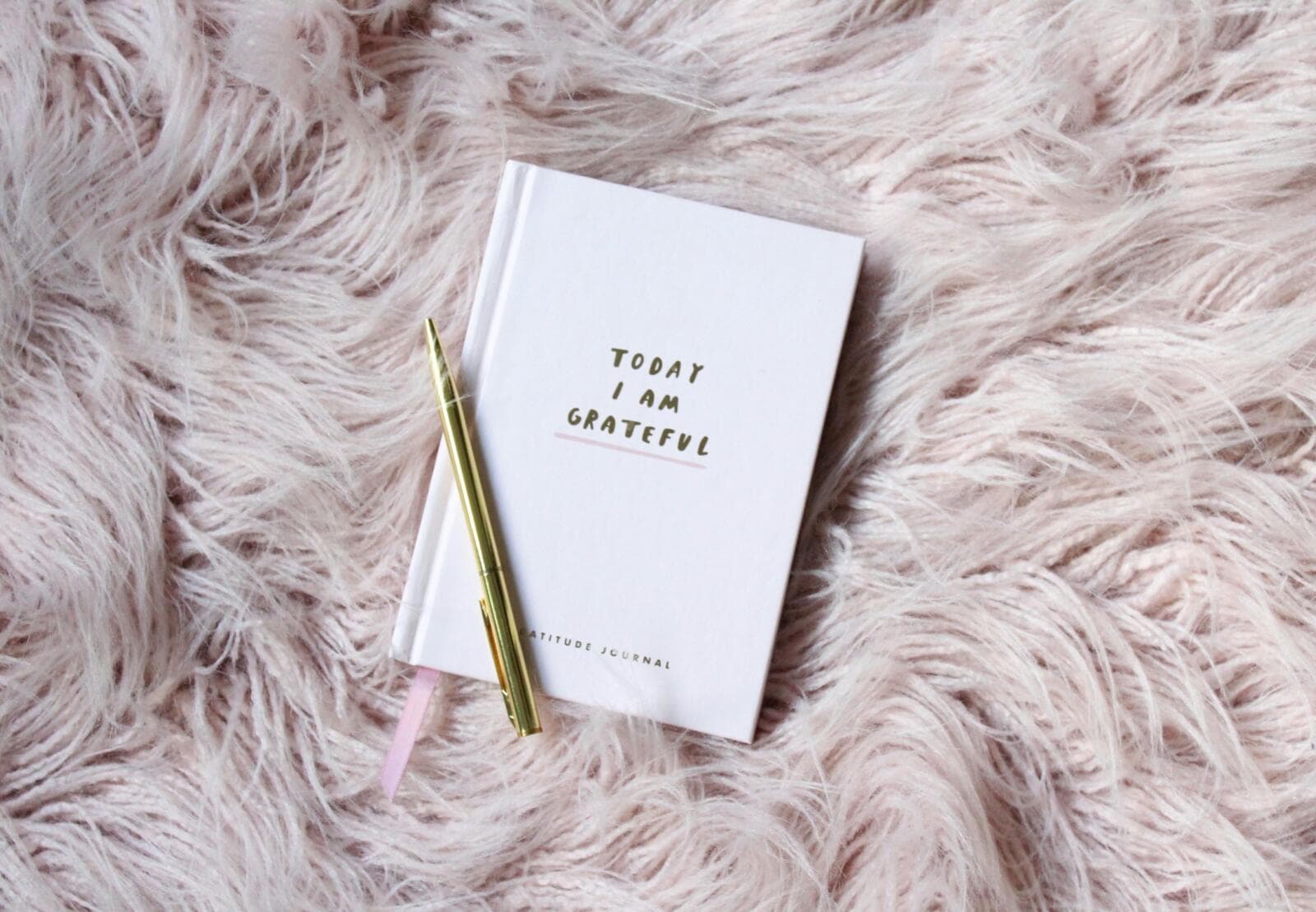 Head Contractor: Legal Essentials in New Zealand