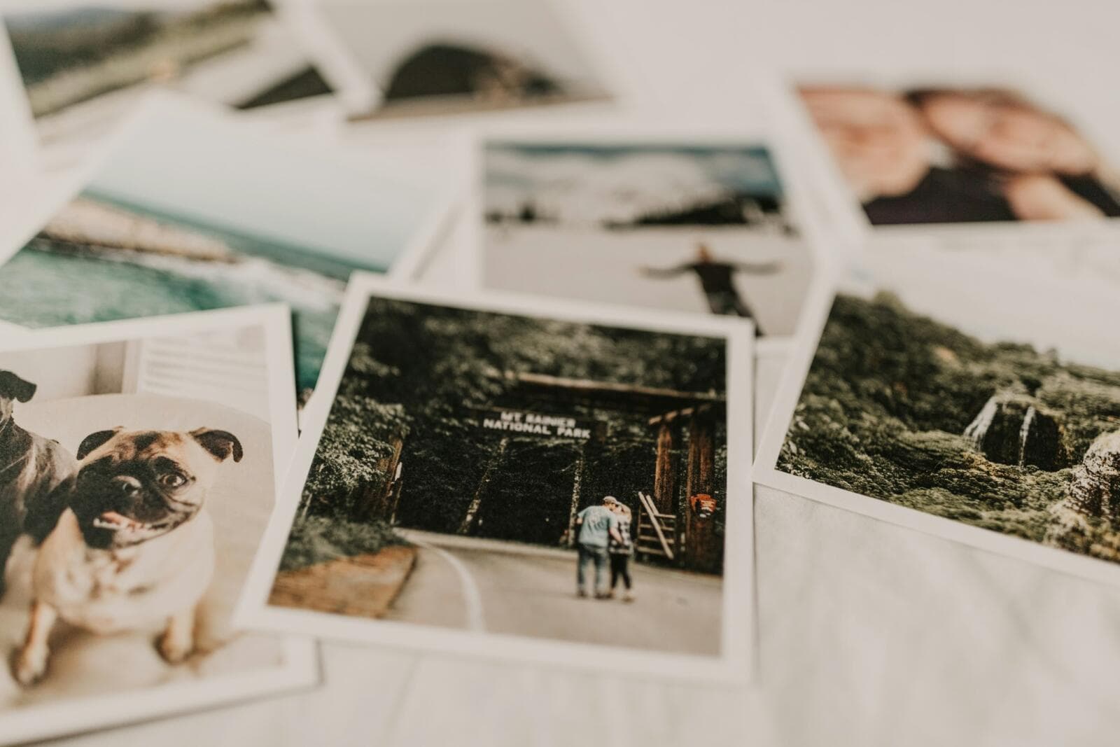 Bereavement Leave In New Zealand: Employer Rights And Obligations